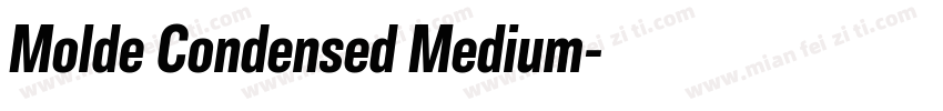 Molde Condensed Medium字体转换